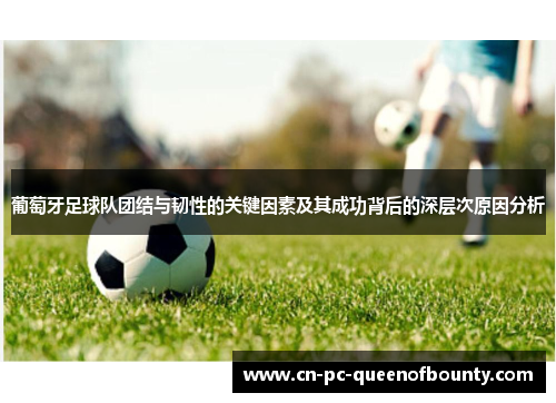 葡萄牙足球队团结与韧性的关键因素及其成功背后的深层次原因分析 葡萄牙足球队团结与韧性的关键因素及其成功背后的深层次原因分析