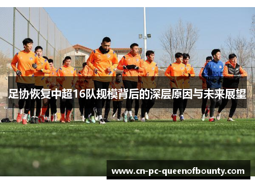 足协恢复中超16队规模背后的深层原因与未来展望