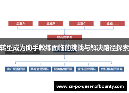 转型成为助手教练面临的挑战与解决路径探索 转型成为助手教练面临的挑战与解决路径探索