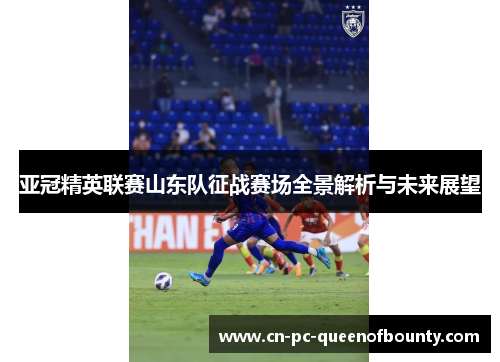 亚冠精英联赛山东队征战赛场全景解析与未来展望 亚冠精英联赛山东队征战赛场全景解析与未来展望