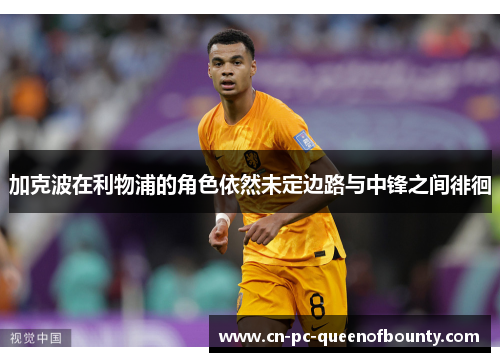 加克波在利物浦的角色依然未定边路与中锋之间徘徊 加克波在利物浦的角色依然未定边路与中锋之间徘徊